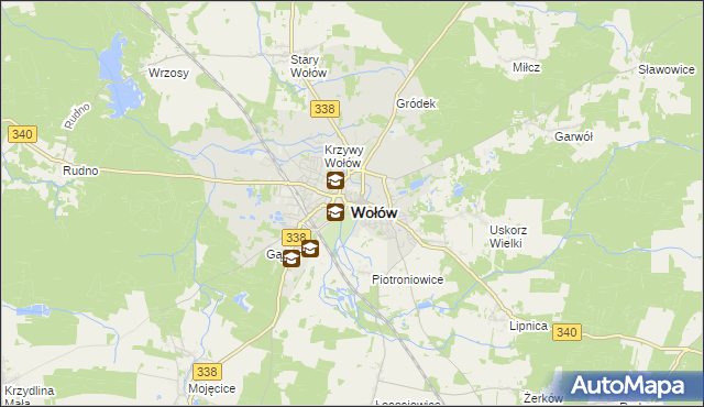 mapa Wołów, Wołów na mapie Targeo