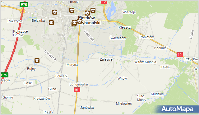 mapa Zalesice gmina Sulejów, Zalesice gmina Sulejów na mapie Targeo