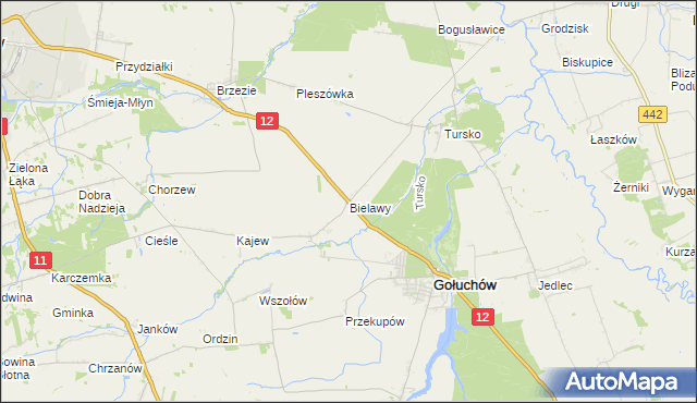 mapa Bielawy gmina Gołuchów, Bielawy gmina Gołuchów na mapie Targeo