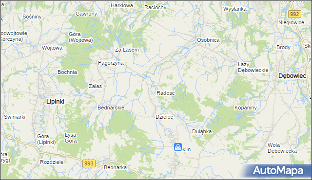 mapa Radość gmina Dębowiec, Radość gmina Dębowiec na mapie Targeo