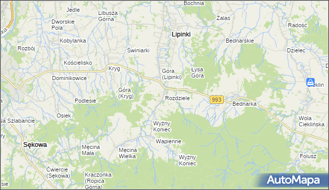 mapa Rozdziele gmina Lipinki, Rozdziele gmina Lipinki na mapie Targeo