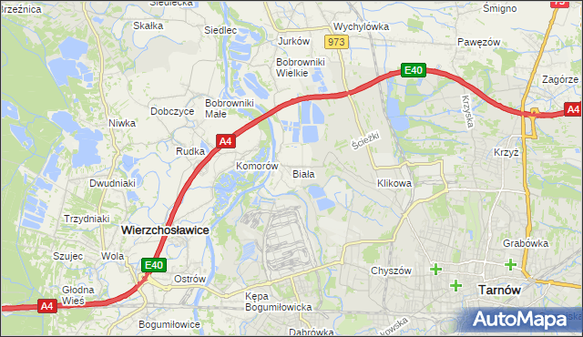 mapa Biała gmina Tarnów, Biała gmina Tarnów na mapie Targeo