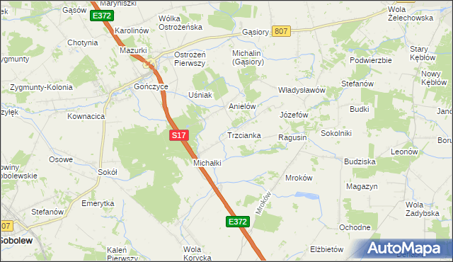 mapa Trzcianka gmina Sobolew, Trzcianka gmina Sobolew na mapie Targeo