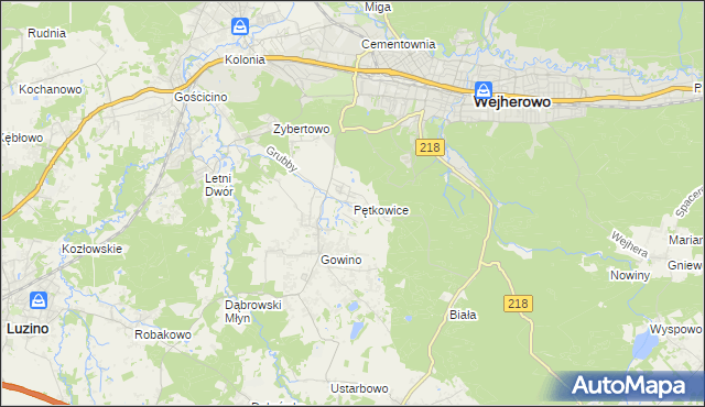 mapa Pętkowice gmina Wejherowo, Pętkowice gmina Wejherowo na mapie Targeo