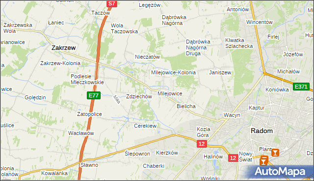 mapa Milejowice gmina Zakrzew, Milejowice gmina Zakrzew na mapie Targeo