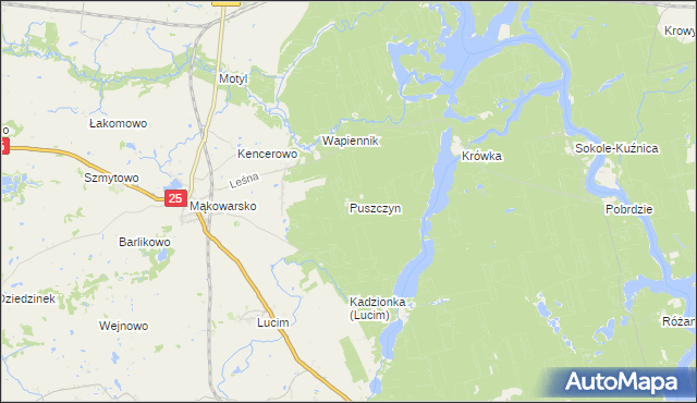 mapa Puszczyn gmina Koronowo, Puszczyn gmina Koronowo na mapie Targeo