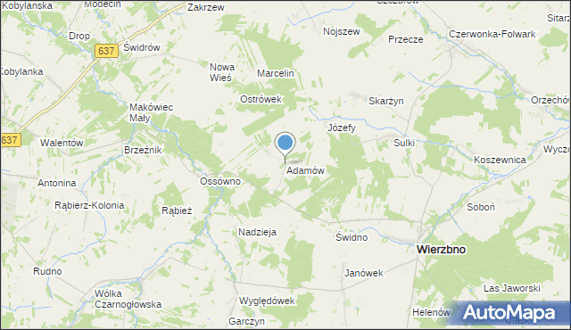 mapa Adamów, Adamów gmina Wierzbno na mapie Targeo