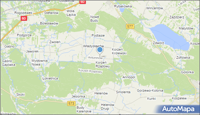 mapa Antoninów, Antoninów gmina Łąck na mapie Targeo
