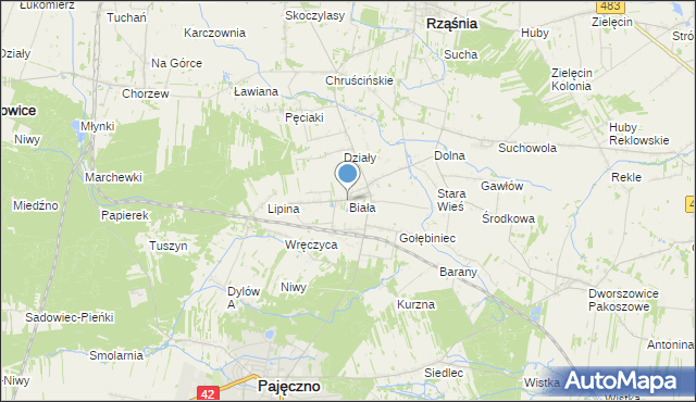 mapa Biała, Biała gmina Rząśnia na mapie Targeo