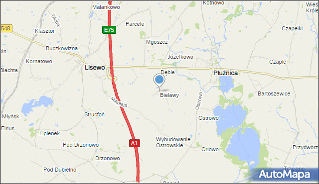 mapa Bielawy, Bielawy gmina Płużnica na mapie Targeo