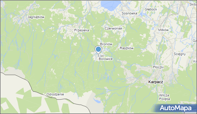 mapa Borowice, Borowice gmina Podgórzyn na mapie Targeo