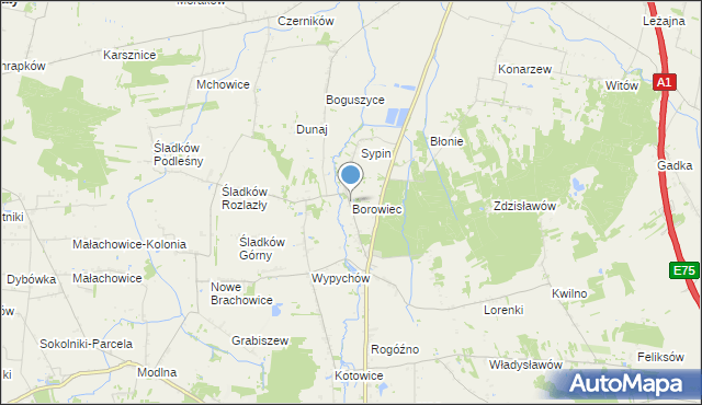mapa Borowiec, Borowiec gmina Piątek na mapie Targeo