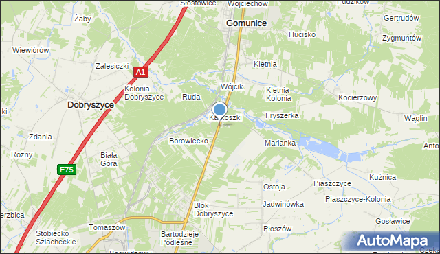 mapa Borowiecko-Kolonia, Borowiecko-Kolonia na mapie Targeo