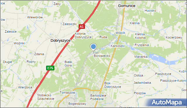 mapa Borowiecko, Borowiecko na mapie Targeo