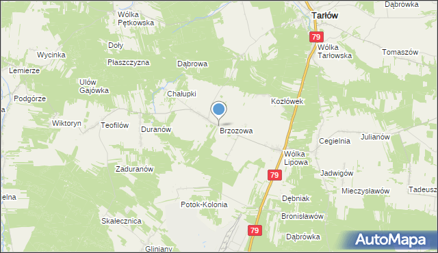 mapa Brzozowa, Brzozowa gmina Tarłów na mapie Targeo