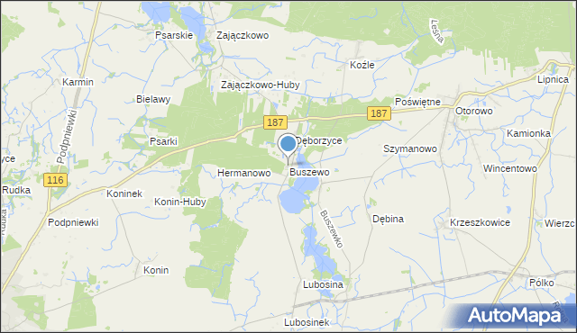 mapa Buszewo, Buszewo gmina Pniewy na mapie Targeo