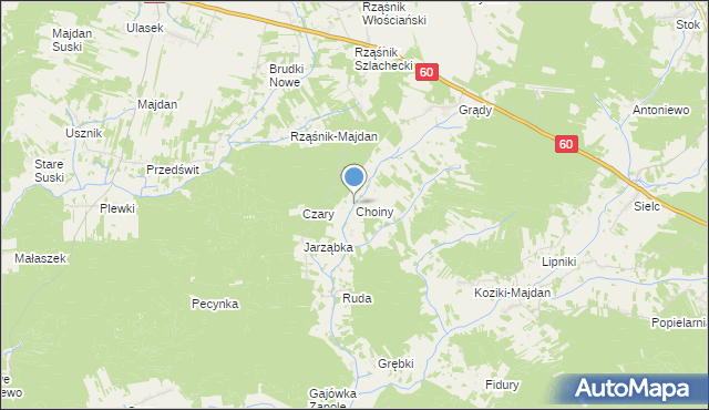 mapa Choiny, Choiny gmina Wąsewo na mapie Targeo