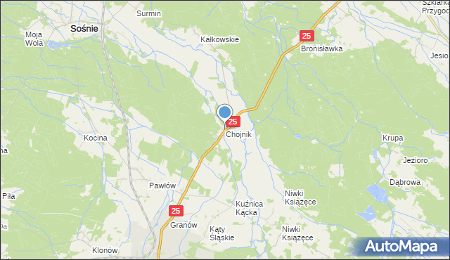 mapa Chojnik, Chojnik gmina Sośnie na mapie Targeo