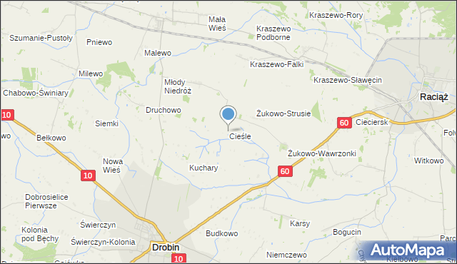 mapa Cieśle, Cieśle gmina Drobin na mapie Targeo