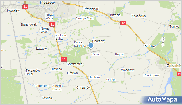 mapa Cieśle, Cieśle gmina Gołuchów na mapie Targeo