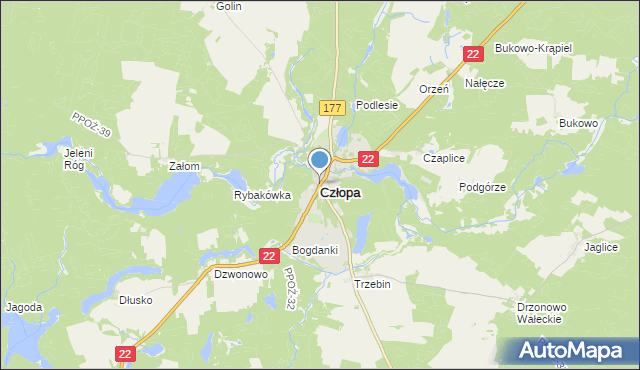 mapa Człopa, Człopa na mapie Targeo