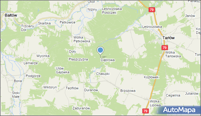 mapa Dąbrowa, Dąbrowa gmina Tarłów na mapie Targeo