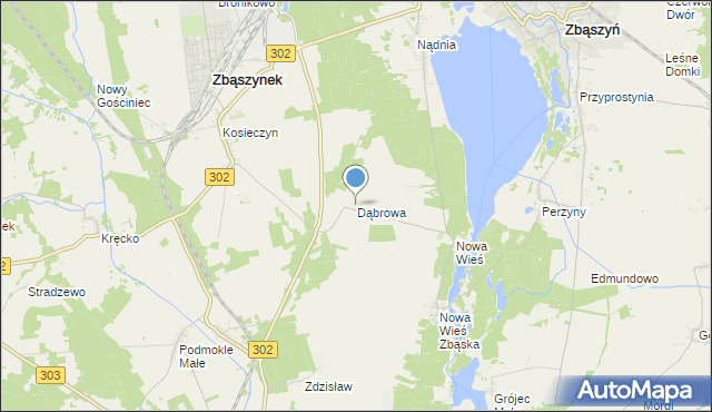 mapa Dąbrowa, Dąbrowa gmina Zbąszyń na mapie Targeo