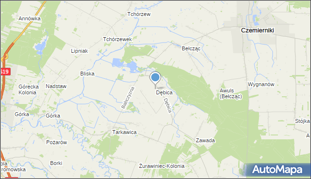 mapa Dębicy, Dębica gmina Ostrówek na mapie Targeo