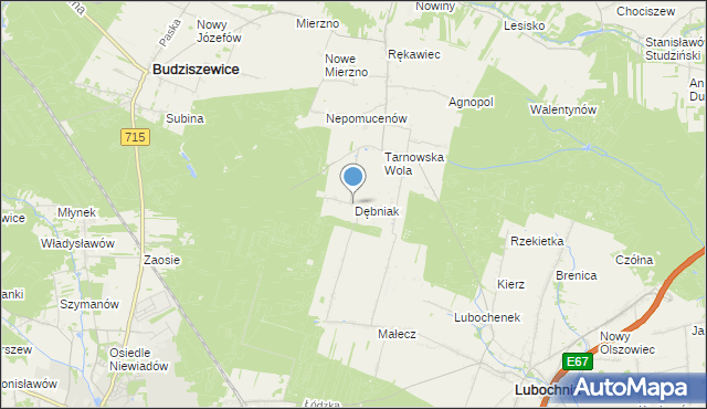 mapa Dębniak, Dębniak gmina Lubochnia na mapie Targeo