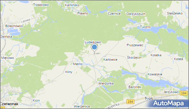 mapa Dębogóra, Dębogóra gmina Czerwonak na mapie Targeo