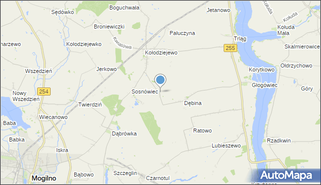 mapa Dębowo, Dębowo gmina Janikowo na mapie Targeo