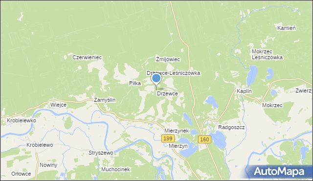 mapa Drzewce, Drzewce gmina Międzychód na mapie Targeo