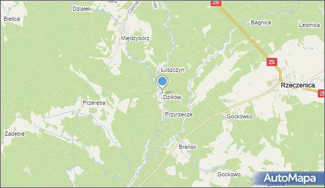 mapa Dzików, Dzików gmina Rzeczenica na mapie Targeo