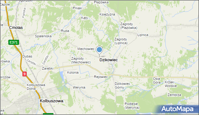 mapa Dzikowiec, Dzikowiec powiat kolbuszowski na mapie Targeo