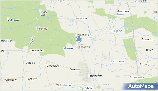 mapa Głogowa, Głogowa gmina Raszków na mapie Targeo