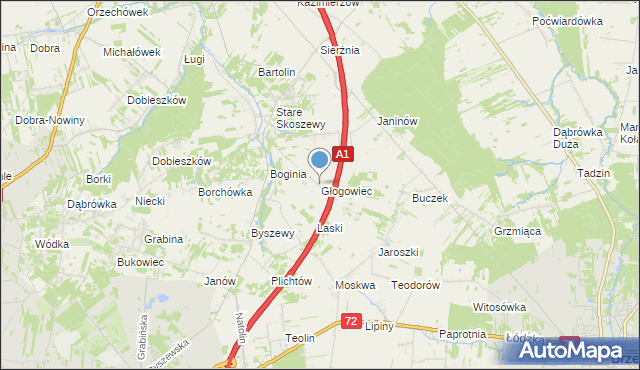 mapa Głogowiec, Głogowiec gmina Nowosolna na mapie Targeo