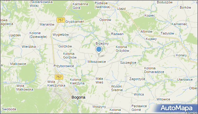 mapa Grzybów, Grzybów gmina Bogoria na mapie Targeo