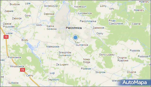 mapa Gumienice, Gumienice gmina Pierzchnica na mapie Targeo