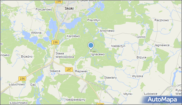 mapa Ignacewo, Ignacewo gmina Skoki na mapie Targeo