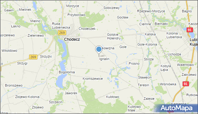 mapa Ignalin, Ignalin gmina Chodecz na mapie Targeo