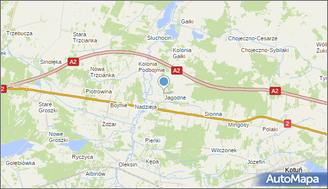 mapa Jagodne, Jagodne gmina Kotuń na mapie Targeo