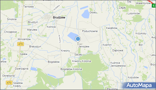 mapa Janiszew, Janiszew gmina Brudzew na mapie Targeo