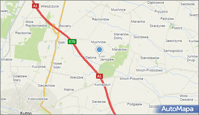 mapa Janiszew, Janiszew gmina Strzelce na mapie Targeo