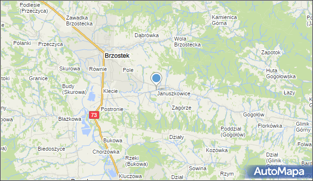 mapa Januszkowice, Januszkowice gmina Brzostek na mapie Targeo