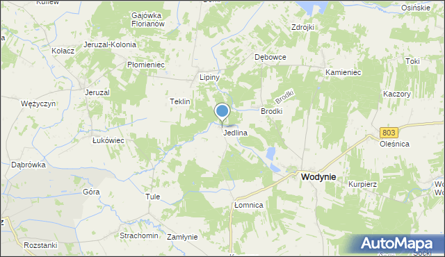 mapa Jedlina, Jedlina gmina Wodynie na mapie Targeo