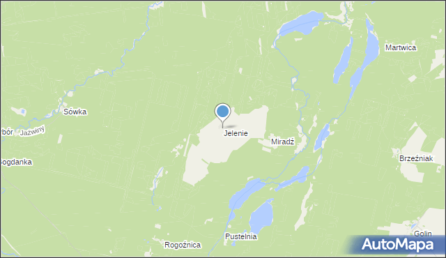 mapa Jelenie, Jelenie gmina Człopa na mapie Targeo
