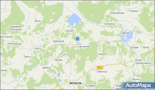 mapa Kamieniec, Kamieniec gmina Wodynie na mapie Targeo