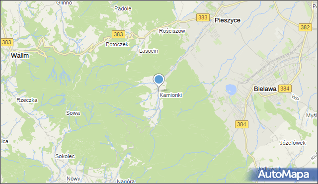 mapa Kamionki, Kamionki gmina Pieszyce na mapie Targeo