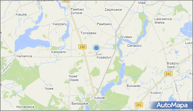 mapa Kopaszyn, Kopaszyn gmina Wągrowiec na mapie Targeo