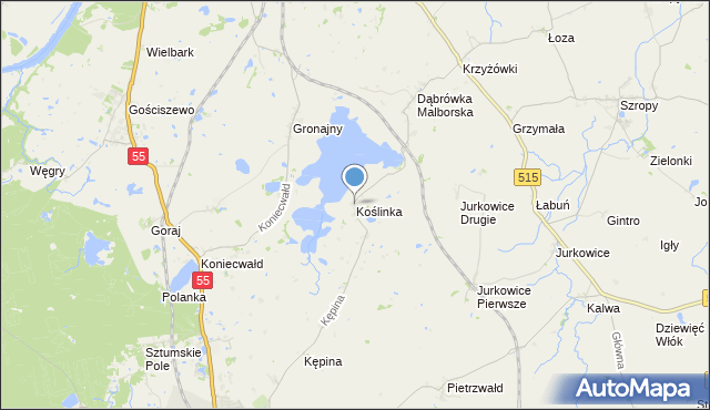 mapa Koślinka, Koślinka gmina Sztum na mapie Targeo